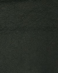 Greenhouse A7758 by  Greenhouse Fabrics 