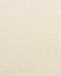 A7800 ANTIQUE WHITE by  Greenhouse Fabrics 