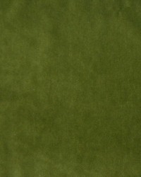 Greenhouse A7950 by  Greenhouse Fabrics 