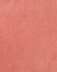 Greenhouse A7958 by  Greenhouse Fabrics 