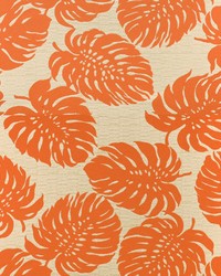 Greenhouse A8035 by  Greenhouse Fabrics 