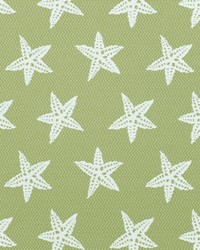 Greenhouse A8043 by  Greenhouse Fabrics 