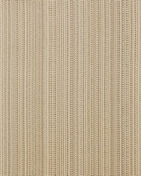 Greenhouse A8065 by  Greenhouse Fabrics 