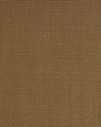 Greenhouse A9185 by  Greenhouse Fabrics 