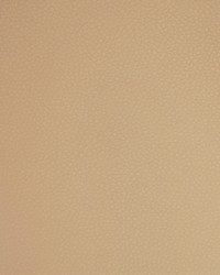 Greenhouse A9203 by  Greenhouse Fabrics 