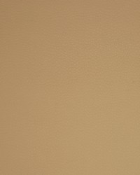 Greenhouse A9204 by  Greenhouse Fabrics 