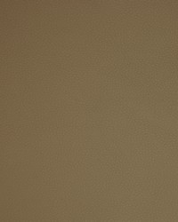 Greenhouse A9205 by  Greenhouse Fabrics 