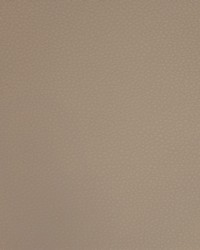 Greenhouse A9206 by  Greenhouse Fabrics 