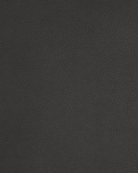 Greenhouse A9210 by  Greenhouse Fabrics 