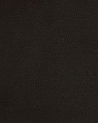 Greenhouse A9212 by  Greenhouse Fabrics 