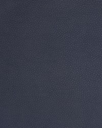 Greenhouse A9219 by  Greenhouse Fabrics 