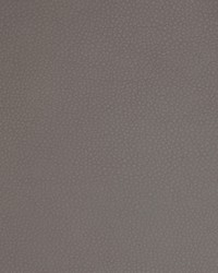 Greenhouse A9220 by  Greenhouse Fabrics 