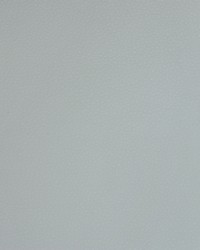 Greenhouse A9221 by  Greenhouse Fabrics 