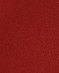 Greenhouse A9225 by  Greenhouse Fabrics 