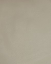 Greenhouse A9234 by  Greenhouse Fabrics 