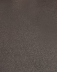 Greenhouse A9240 by  Greenhouse Fabrics 