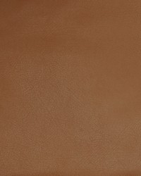 Greenhouse A9250 by  Greenhouse Fabrics 