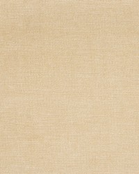 Greenhouse B1253 by  Greenhouse Fabrics 