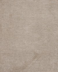 Greenhouse B1262 by  Greenhouse Fabrics 