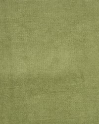 B1272 FERN by  Greenhouse Fabrics 