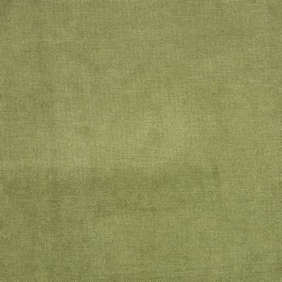 Greenhouse Fabrics B1272 FERN in E09 Green POLYESTER  Blend Fire Rated Fabric