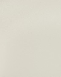 Greenhouse B1569 by  Greenhouse Fabrics 