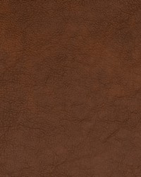 Greenhouse B1691 by  Greenhouse Fabrics 