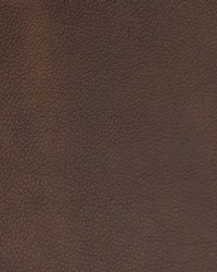 Greenhouse B1693 by  Greenhouse Fabrics 