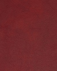 Greenhouse B1697 by  Greenhouse Fabrics 