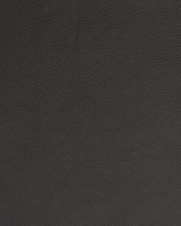 Greenhouse B1707 by  Greenhouse Fabrics 