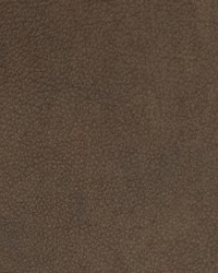 Greenhouse B1716 by  Greenhouse Fabrics 