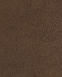 Greenhouse B1717 by  Greenhouse Fabrics 