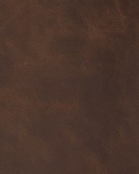 Greenhouse B1719 by  Greenhouse Fabrics 