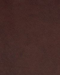 Greenhouse B1720 by  Greenhouse Fabrics 