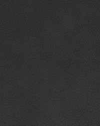 Greenhouse B1732 by  Greenhouse Fabrics 