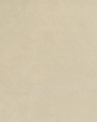 Greenhouse B1745 by  Greenhouse Fabrics 