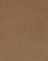 Greenhouse B1748 by  Greenhouse Fabrics 