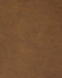 Greenhouse B1751 by  Greenhouse Fabrics 