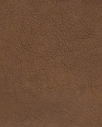 Greenhouse B1753 by  Greenhouse Fabrics 