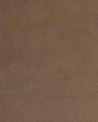 Greenhouse B1754 by  Greenhouse Fabrics 