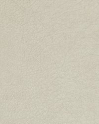 Greenhouse B1757 by  Greenhouse Fabrics 