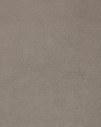 Greenhouse B1760 by  Greenhouse Fabrics 