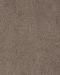 Greenhouse B1761 by  Greenhouse Fabrics 