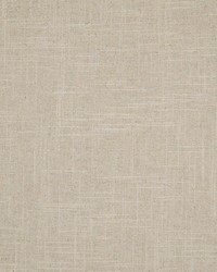 B3082 Desized by  Greenhouse Fabrics 