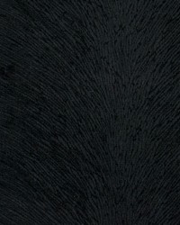 B4313 Black by  Greenhouse Fabrics 