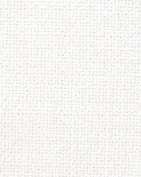 B4544 Vanilla by  Greenhouse Fabrics 