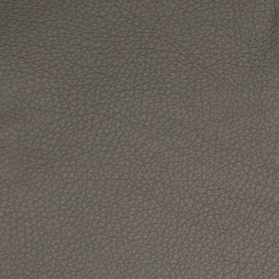 Greenhouse Fabrics B5113 Pewter in Classic Leather III Silver MATERIAL:  Blend Fire Rated Fabric Solid Leather HIdes  Fabric