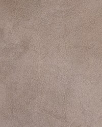 B5124 French Beige by   