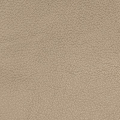 Greenhouse Fabrics B5127 Grey Taupe in Classic Leather III MATERIAL:  Blend Fire Rated Fabric Solid Leather HIdes  Fabric