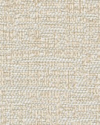 B5834 Khaki by  Greenhouse Fabrics 